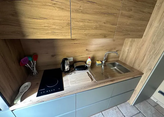 Apartament Amos Center *